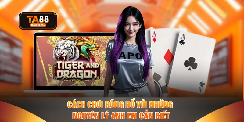 Cách chơi Rồng Hổ với những nguyên lý anh em cần biết