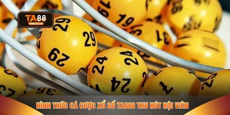 Hình thức cá cược xổ số TA888 thu hút hội viên