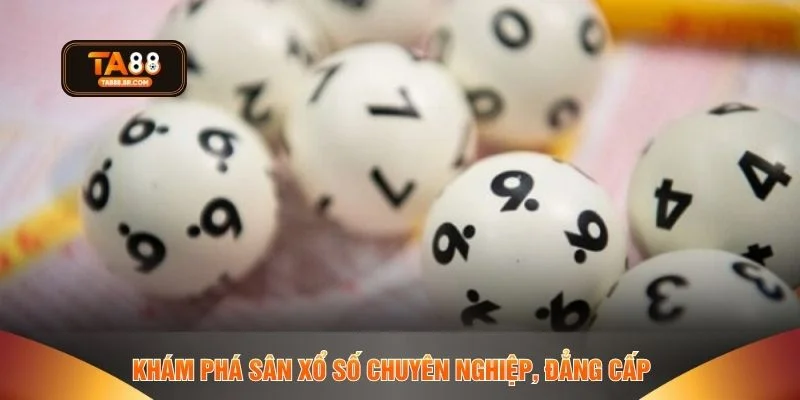 Khám phá sân xổ số chuyên nghiệp, đẳng cấp