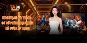 Màu Mạng Gà TA888 - Cơ Sở Phân Loại Chiến Kê Được Áp Dụng
