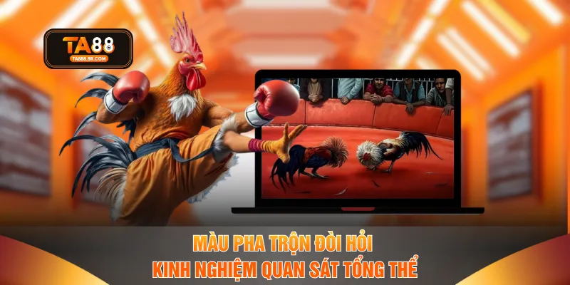 Màu pha trộn đòi hỏi kinh nghiệm quan sát tổng thể