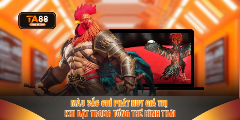 Màu sắc chỉ phát huy giá trị khi đặt trong tổng thể hình thái