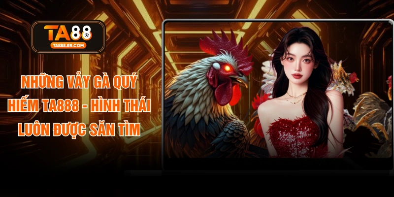 Những Vảy Gà Quý Hiếm TA888 - Hình Thái Luôn Được Săn Tìm
