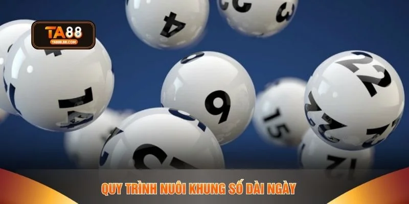 Quy trình nuôi khung số dài ngày