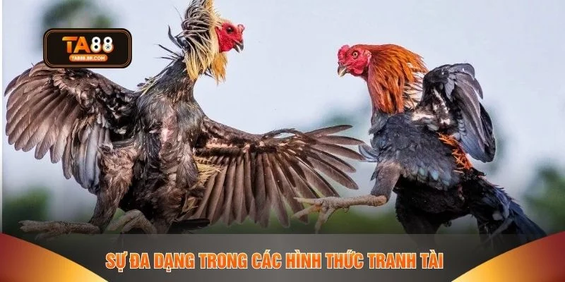Sự đa dạng trong các hình thức tranh tài